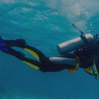 Zanzibar Dive