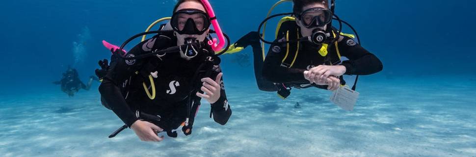 Scuba Connection