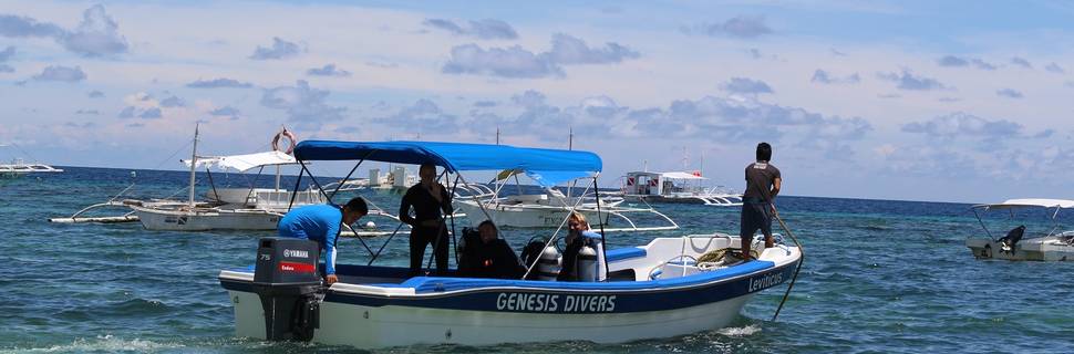 Genesis Divers