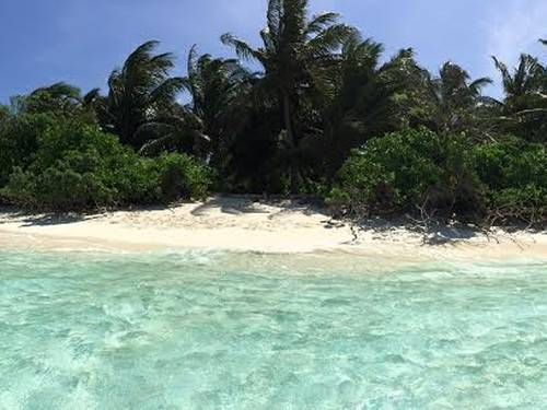 Thoddoo Dive Center