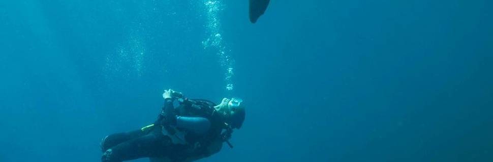 Divewithus La Paz Scuba Diving
