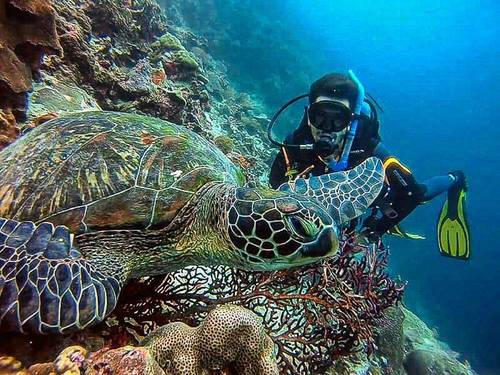 Cebu Fun Divers