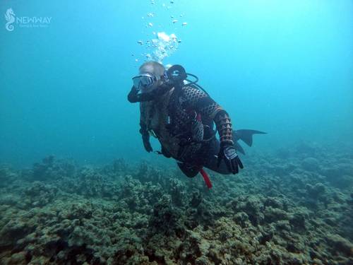 New Way Diving & Sea Tours