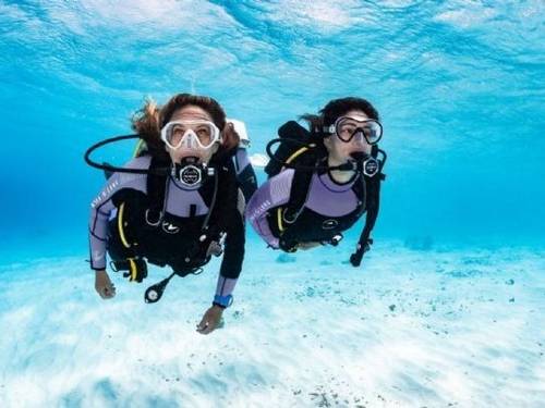 PRO DIVE Sydney