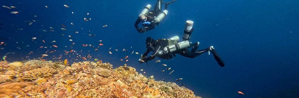 Pinnacle Diving Company