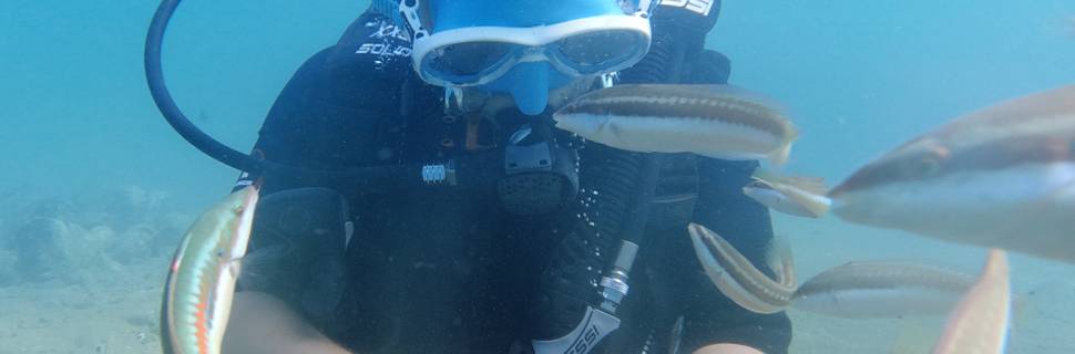 Ionian Divers