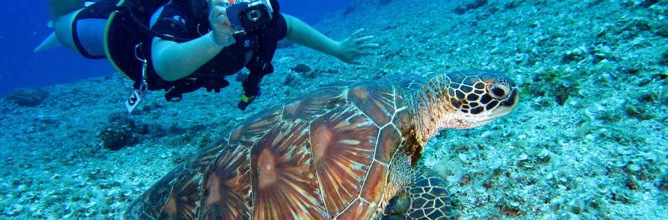 Nakai Dhiggiri Diving Center