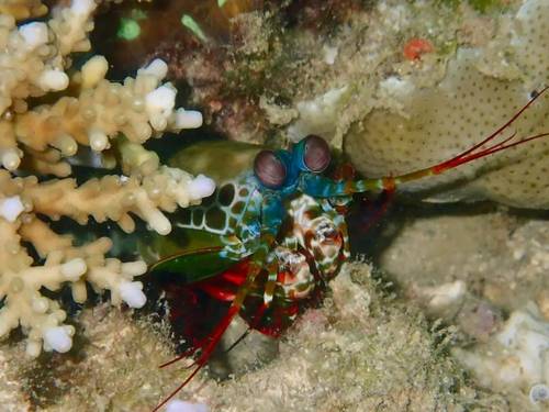 Eco2 Diving