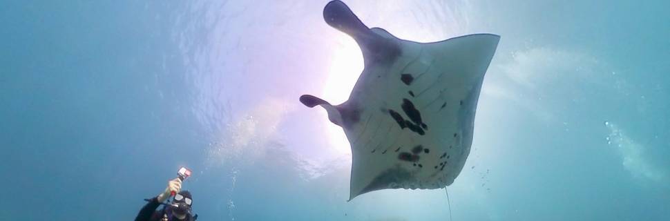 Lembongan Dive Center