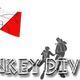 Donkey Divers Limited