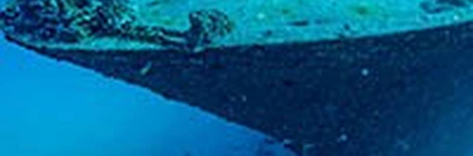 Waikiki Dive Center