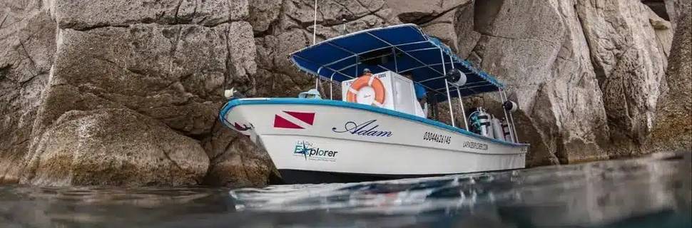 La Paz Explorer - Diving & Tours