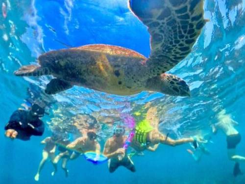 SRI LANKA DIVING TOURS Trincomalee PADI 5 Star IDC Center