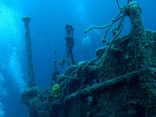 Diving Cres