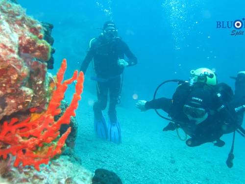 Blu Diving Center