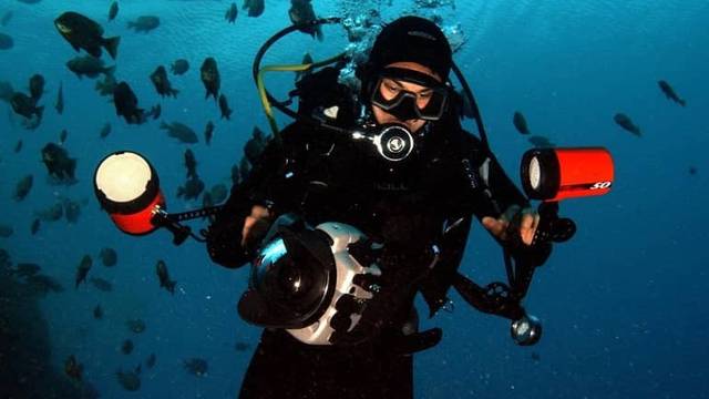 Kenya Coastal Divers