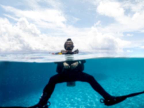 Blue Marine Dive Resort