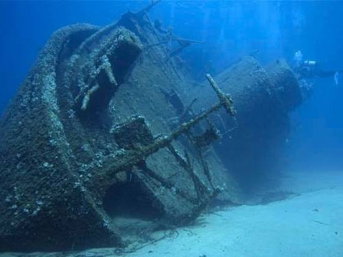 Airlie Beach Dive & Snorkel Centre