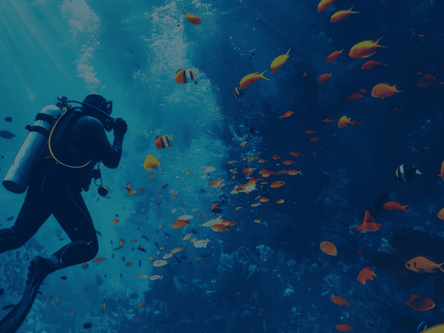 Blue Lagoon Diving Center Sharm el Sheikh