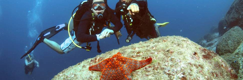 Acapulco Scuba Center