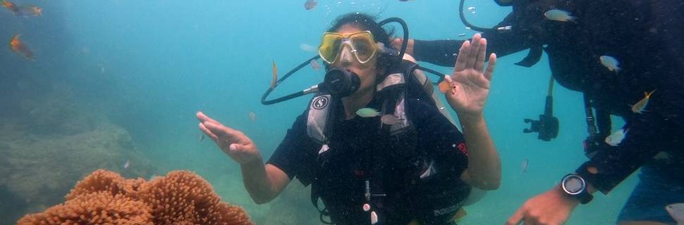 Blue Corals Dive