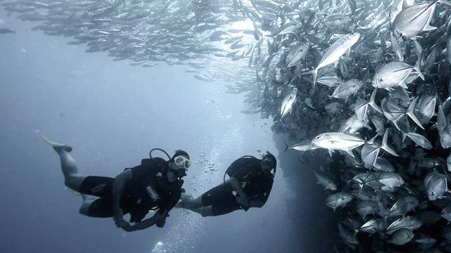 Oceano Adventures