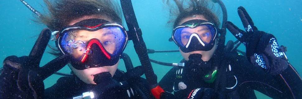 Diving Shop & School fluffy