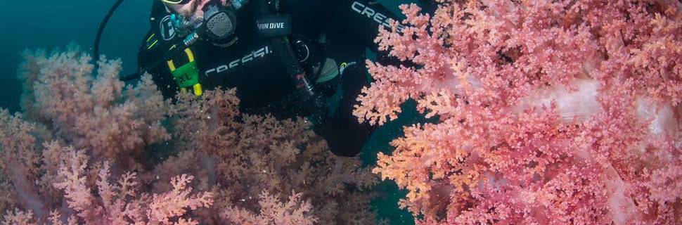 Buzios Divers