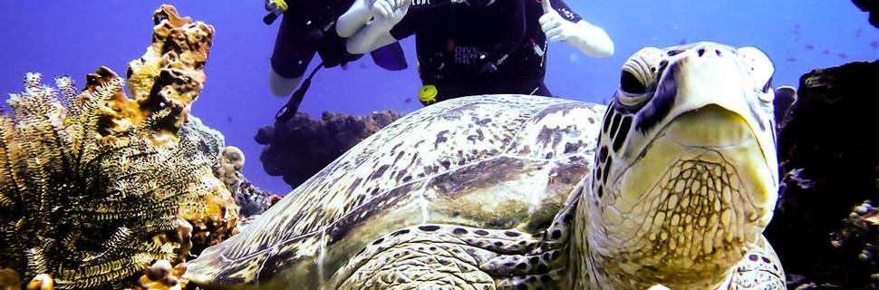 Dive Central Gili