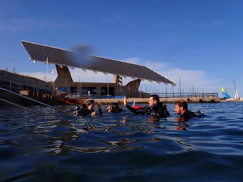 FREEANDIVERS, escola de busseig i apnea a Barcelona Fòrum
