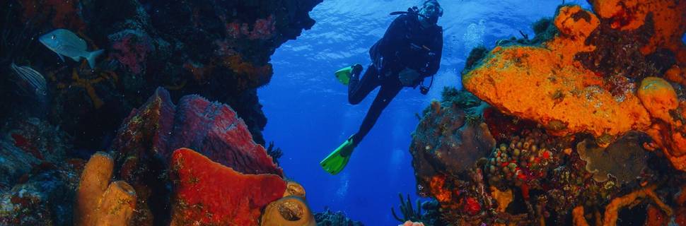 Tauchen Hurghada Dive | Scuba Diving Center in Hurghada, PADI Courses