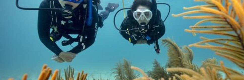 Lanzarote Non Stop Divers