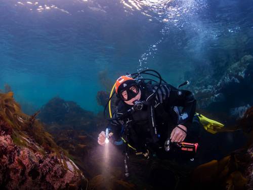Discovering Scuba