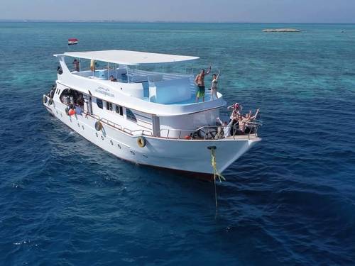 White Dolphin Diving Center - PADI Dive Resort / Tauchen in Hurghada