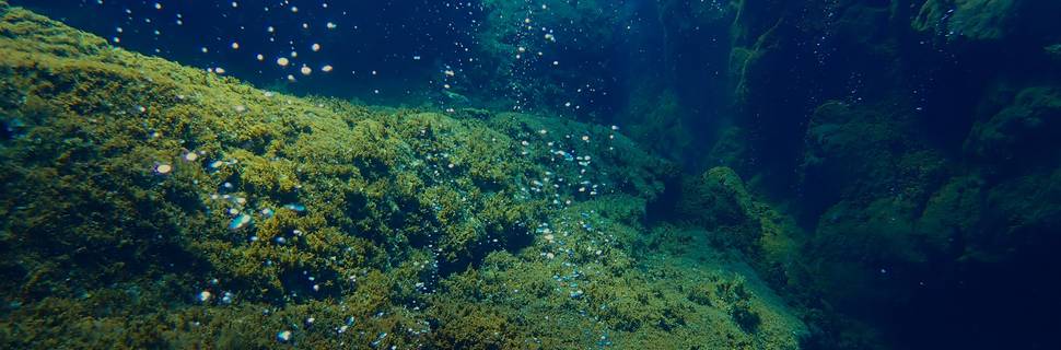 Volcano Bubbles Diving School