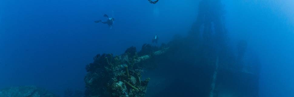 Green Divers Barbados