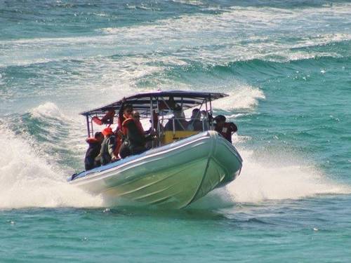 Tweed Sea Sports
