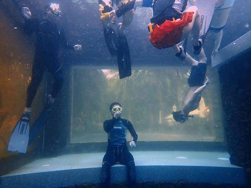 Diving Best Resort