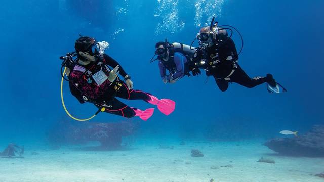 Diversity Diving Center