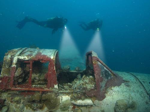 Australian Diving Instruction Geelong | PADI 5 Star IDC Centre (Ring for gate access)
