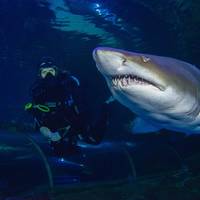 Blue Planet Aquarium