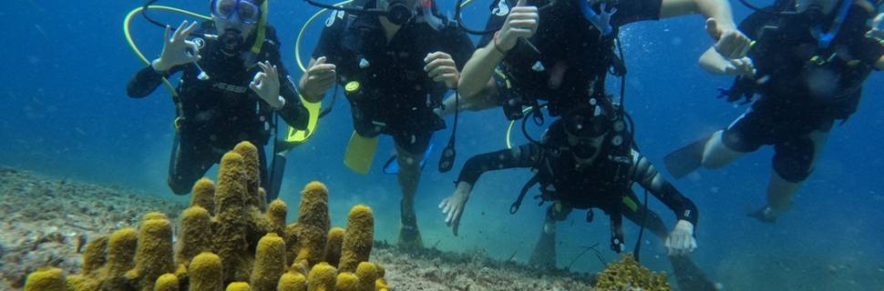 Didim Milet Diving Center