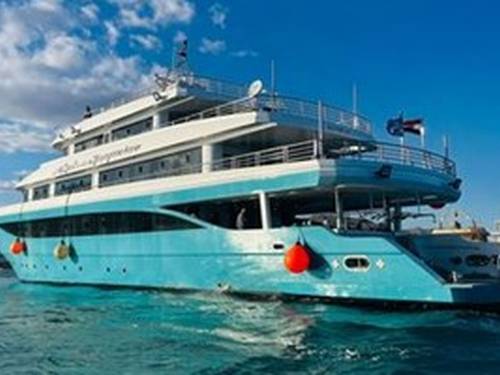 Anemone Liveaboard