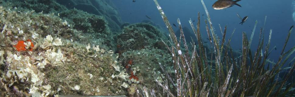 Liamis Dive Centre