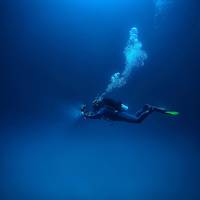 Royal Octopus PADI 5* star Dive Center