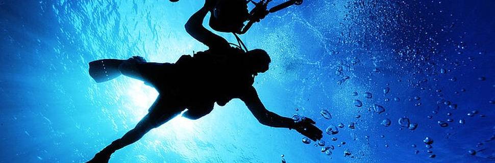 Herbies Diving Paradise, Ltd.