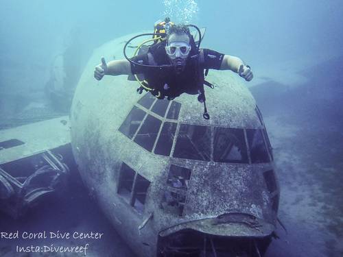Red Coral Dive Center - Diving Aqaba