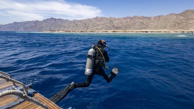 Reef 2000