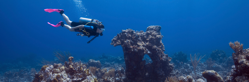 Hiriketiya Diving Center