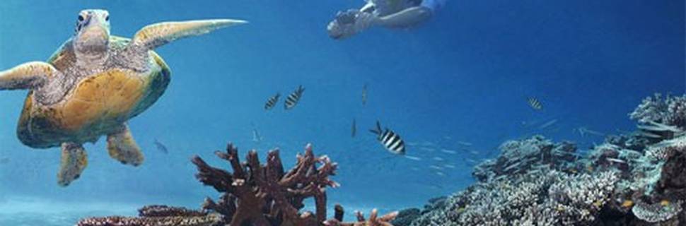 Abyss Dive Centre
